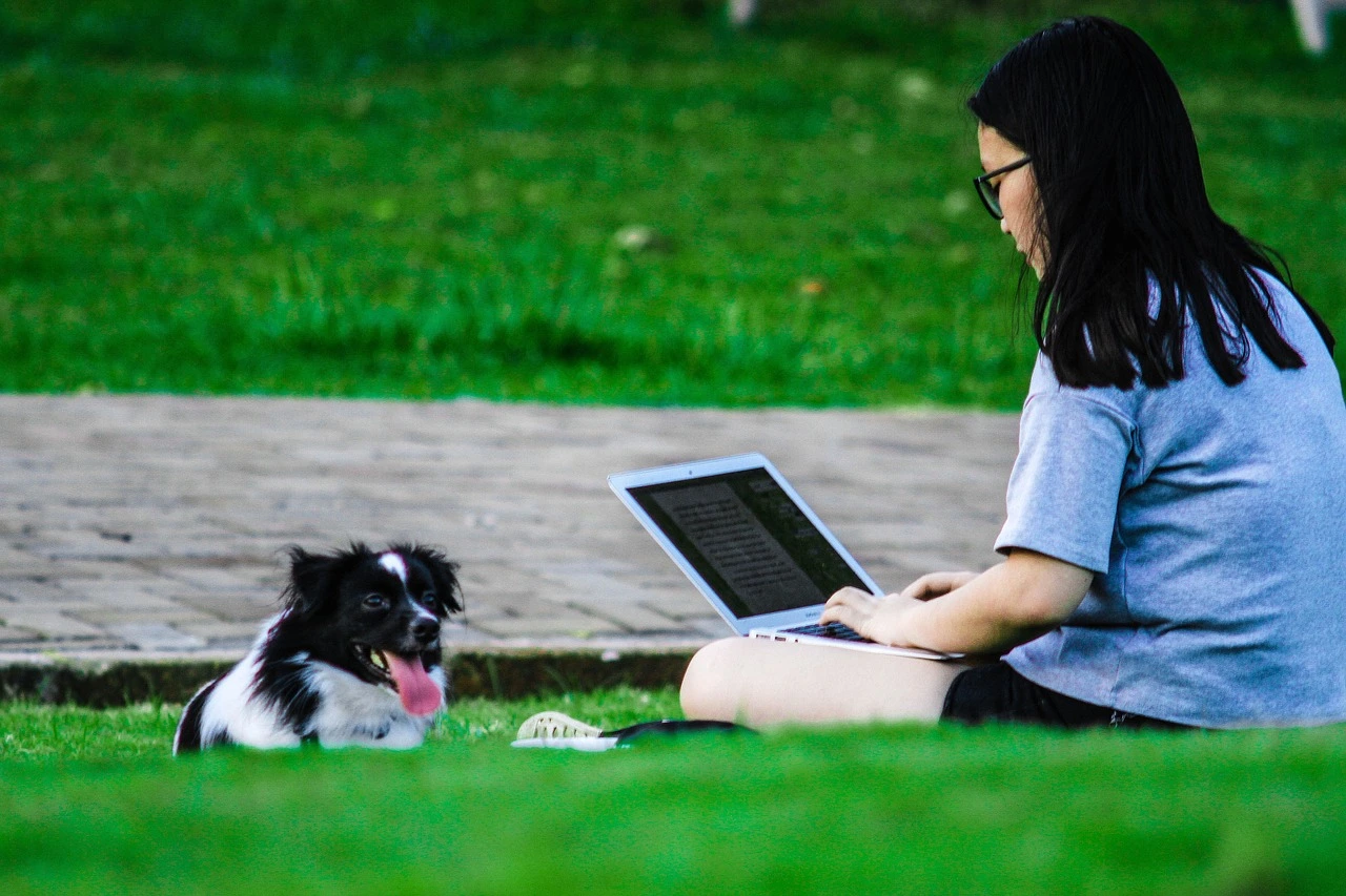 Dans l'herbe, un éducateur canin préparant un programme d'éducation canine sur son ordinateur, face à un chien de race border collie